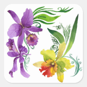 Sticker Carré Fleurs d'orchidées violettes et jaunes Aquarelle