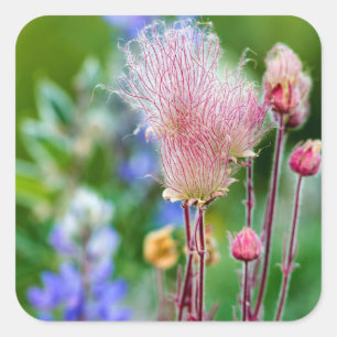 Sticker Carré Fleurs sauvages de fumée des Prairies à Aspen Grov