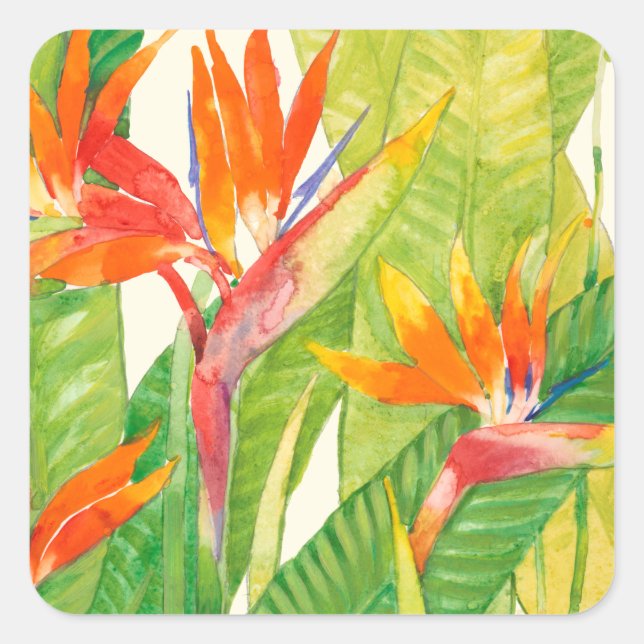 Sticker Carré Fleurs tropicales | Oiseau du paradis (Devant)