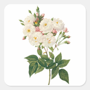 Sticker Carré Fleurs Vintage Floral Blush Noisette Rose Redoute