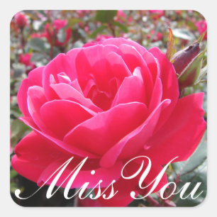 Sticker Carré Floral Miss You Rose Fleur