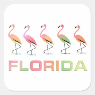 Sticker Carré FLORIDE - Marcher des Flamants roses tropicaux