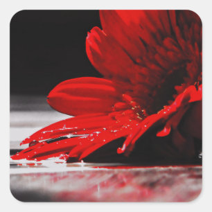 Sticker Carré Flower rouge
