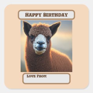 Sticker Carré "Fluffy Majesty : le grand alpaga Brown Wooly"