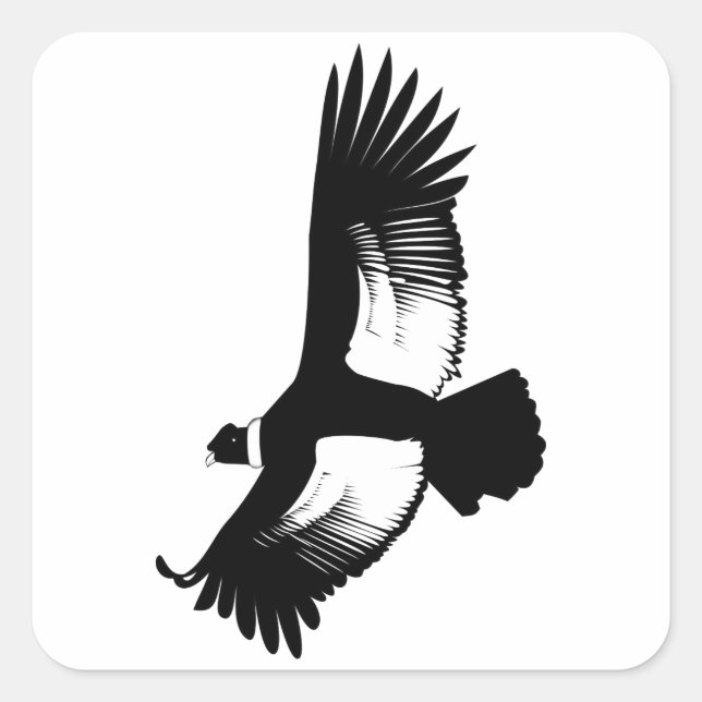 Sticker Carré Flying Andean Condor (Devant)