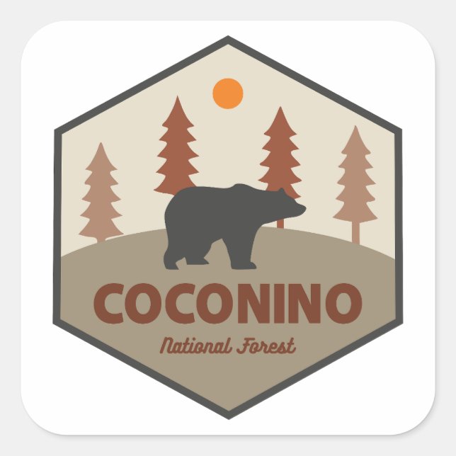 Sticker Carré Forêt nationale de Coconino Bear (Devant)