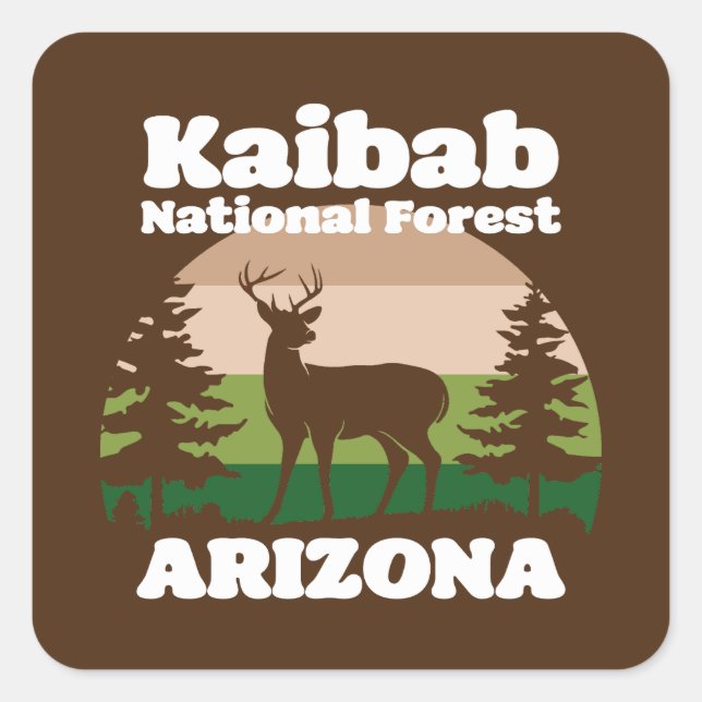 Sticker Carré Forêt nationale de Kaibab Arizona (Devant)