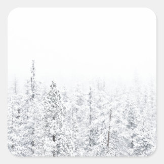 Sticker Carré Forêt neigeuse