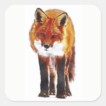 Fox rouge
