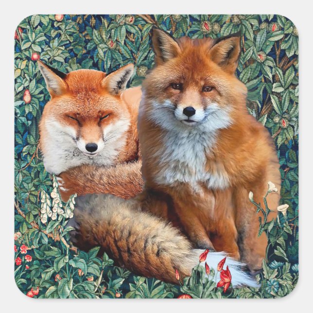 STICKER CARRÉ FOXES ROUGES PARMI LA VERDURE, LE FOLIAGE ET LES F (Devant)