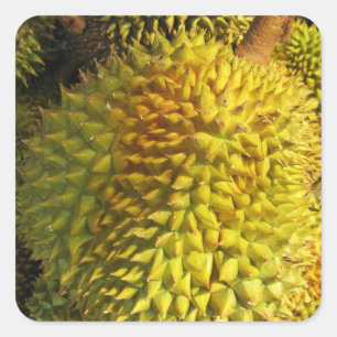 Sticker Carré Fruit durian
