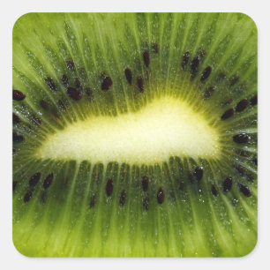 Sticker Carré Fruit Kiwi