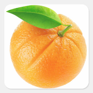 Sticker Carré Fruit orange
