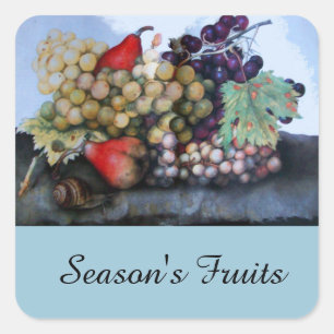 STICKER CARRÉ FRUITS DE SAISON 1 - RAISONS ET PEARS