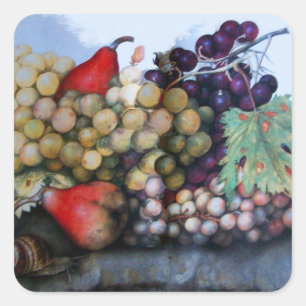 STICKER CARRÉ FRUITS DE SAISON 1 - RAISONS ET PEARS