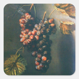 Sticker Carré FRUITS DE SAISON -PROSPÉRITÉ, RAISINS HANGÉS Rusti