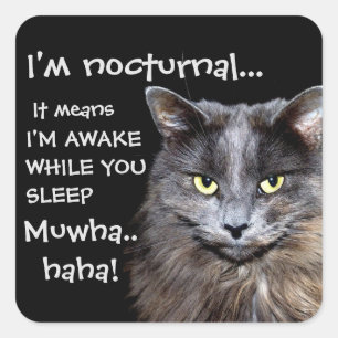Sticker Carré Funny Cat est Nocturne Evil Laugh