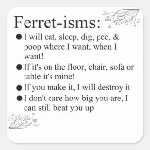 Sticker Carré Funny Ferrets