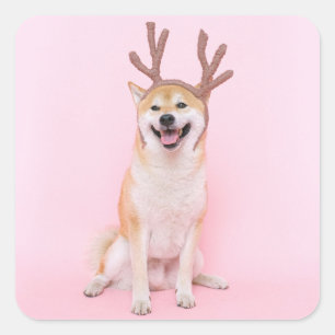 Sticker Carré funny shiba inu wearing christmas deer costume