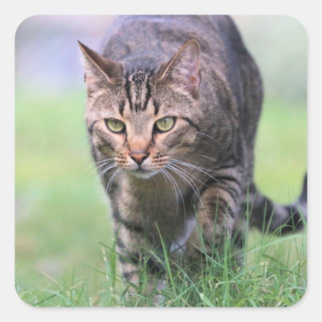 Sticker Carré Gabe (Devant)