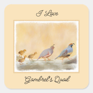 Sticker Carré Gambrel's Quail Painting Original Bird Art