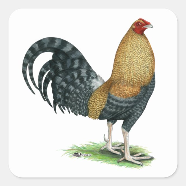 Sticker Carré Gamecock : Dom ou Crele (Devant)