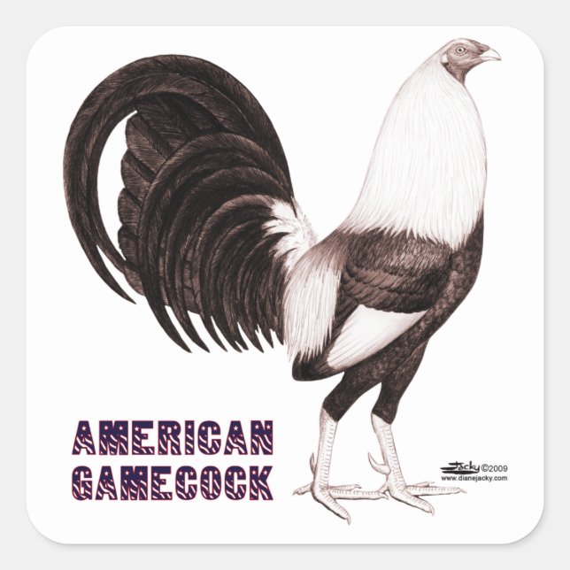 Sticker Carré Gamecock Sepia (Devant)