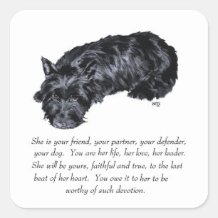 Sticker Carré Garde-mémoire Terrier Écossais - FEMELLE