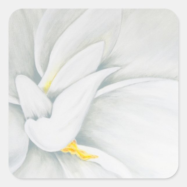 Sticker Carré Gardenia (Devant)