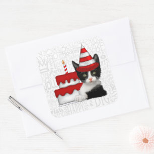 Sticker Carré Gâteau d'anniversaire avec chaton noir et blanc