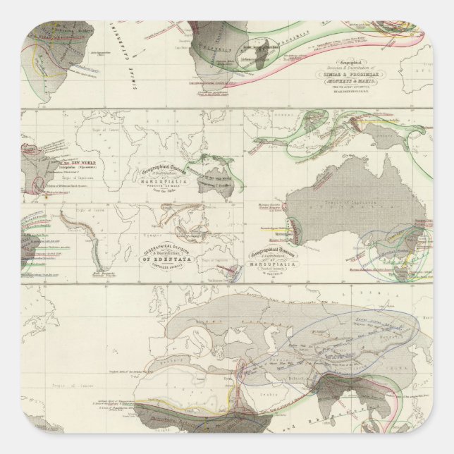 Sticker Carré Géographie zoologique (Devant)