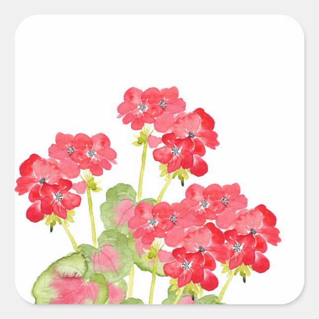 Sticker Carré Geraniums d'aquarelles rouges 2 (Devant)