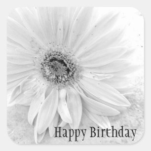 Sticker Carré Gerber Daisy En noir et blanc Joyeux anniversaire