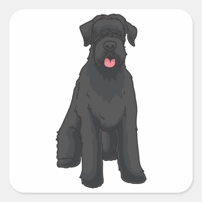 Sticker Carré Giant Schnauzer (Devant)