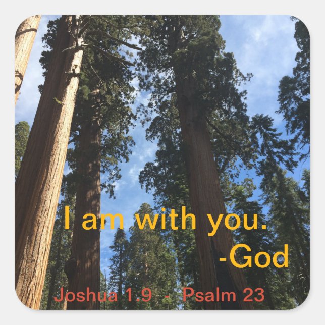 Sticker Carré Giant Sequoia (Devant)