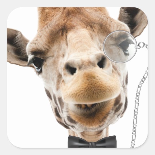 Sticker Carre Girafe Drole Avec Bowtie Et Monocle Zazzle Ca