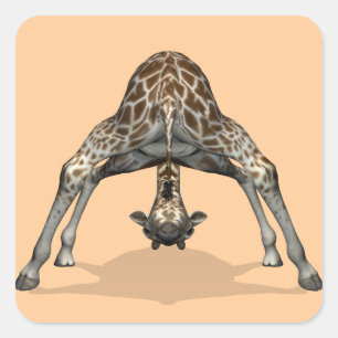 Sticker Carré Girafe flexible