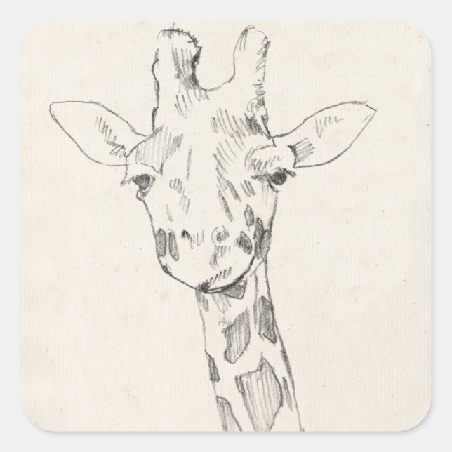 Sticker Carré Giraffe Portrait | Croquis (Devant)