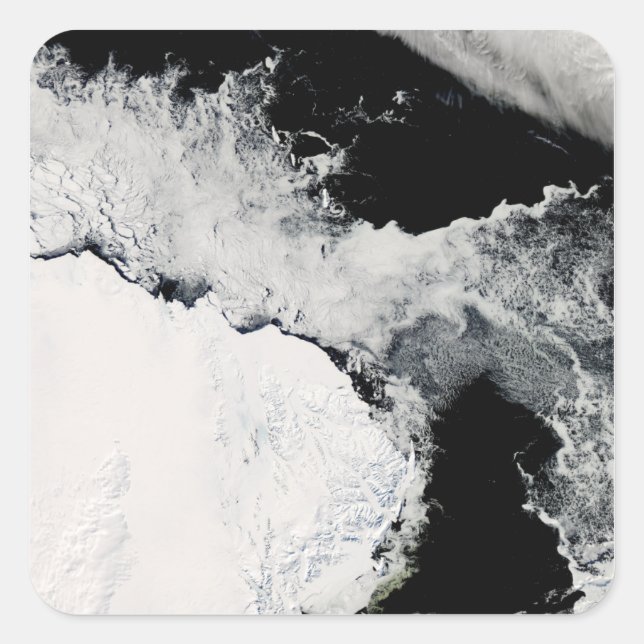 Sticker Carré Glace marine dans l'océan Austral (Devant)