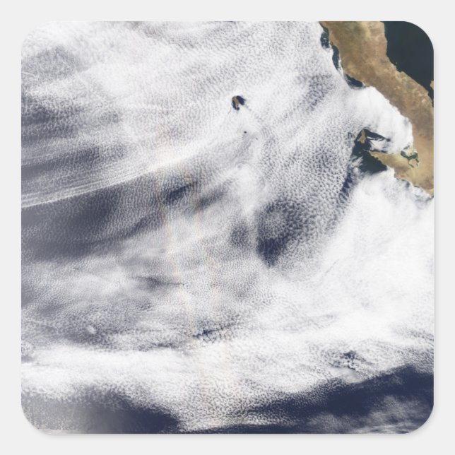 Sticker Carré Gloire sur l'océan Pacifique (Devant)