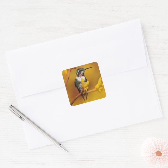 Sticker Carré Golden Glow (Enveloppe)