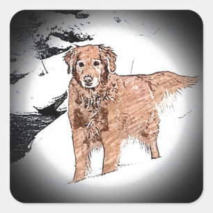 Sticker Carré Golden Retriever