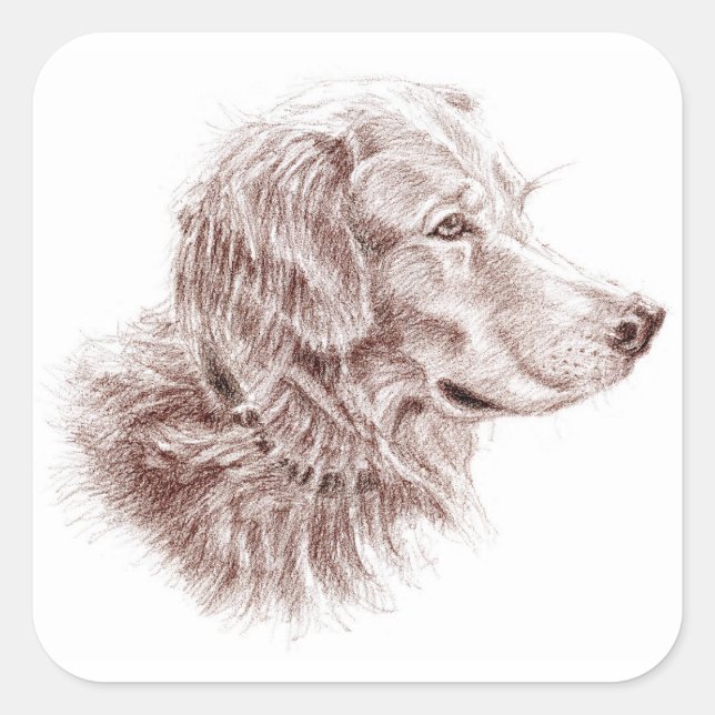 Sticker Carré Golden Retriever (Devant)