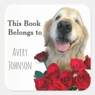 Sticker Carré Golden Retriever avec plaque personnalisée Rose