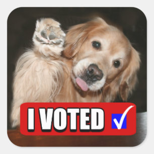Sticker Carré Golden Retriever Chien I Jour de l'élection