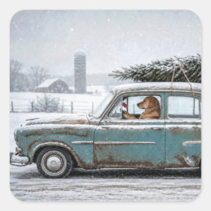 Sticker Carré Golden Retriever conduisant une voiture rétro avec