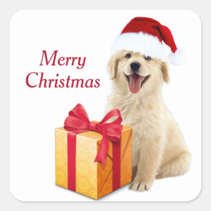 Sticker Carré Golden Retriever de Noël