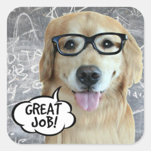 Sticker Carré Golden Retriever Dog Super job enseignant récompen