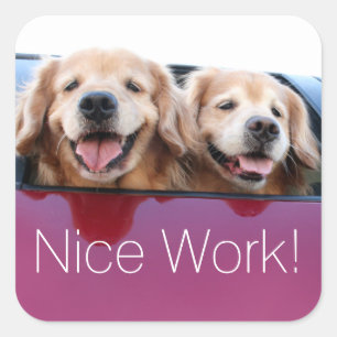 Sticker Carré Golden Retriever Dogs Nice Travail Professeur Réco