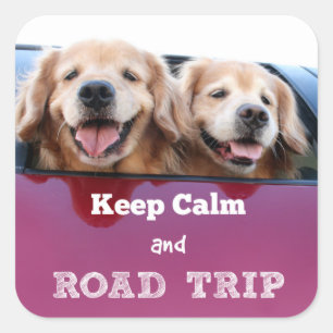 Sticker Carré Golden Retriever Gardez le calme et Voyage sur rou